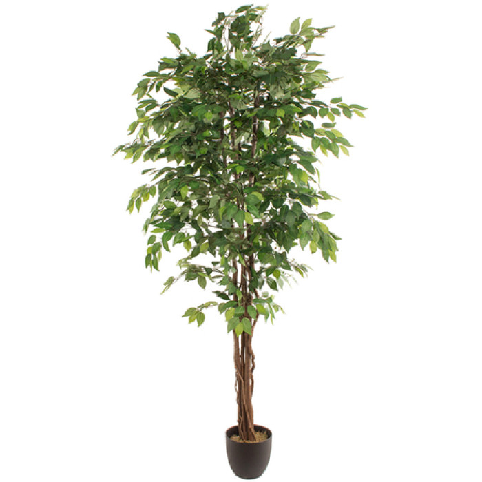 Planta artificial FICUS 2.20m